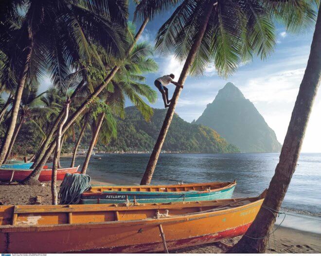 SeaCloud_Kreuzfahrten_St.-Lucia_Pitons_Palmen