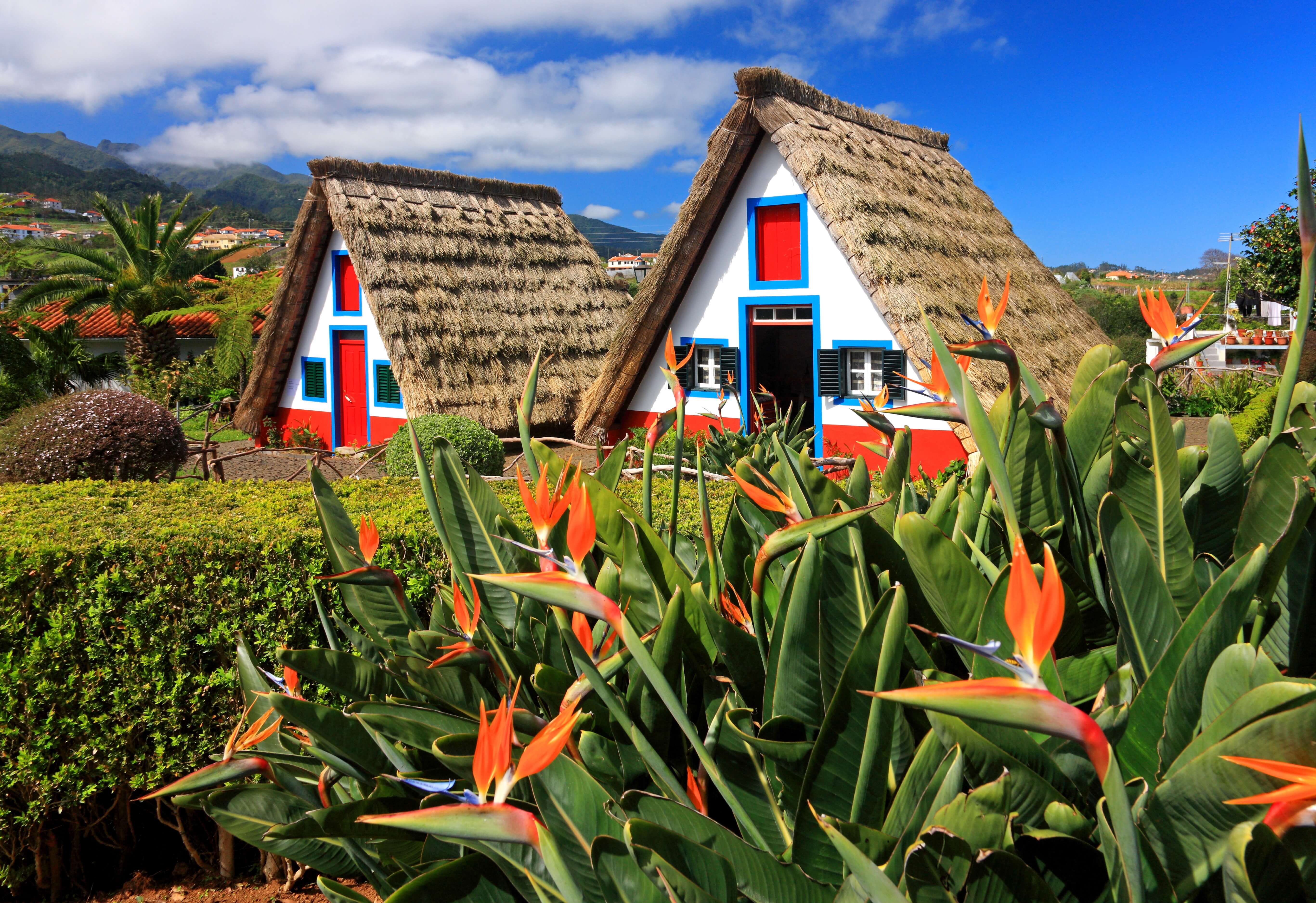 Portugal_Madeira_Santana_€_Huber_20422330_freie Onlinenutzung